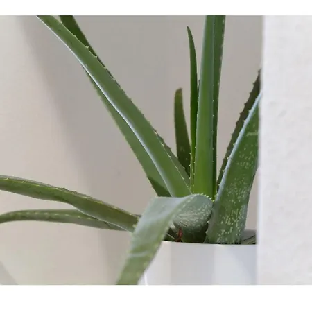 Six Senses - Luxury And Bratislava