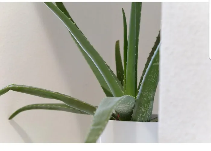 Six Senses - Luxury And ブラチスラヴァ